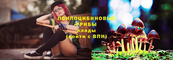 метадон Белокуриха