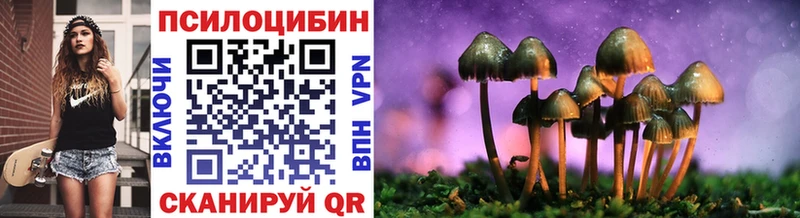 как найти   Армавир  Галлюциногенные грибы мицелий 
